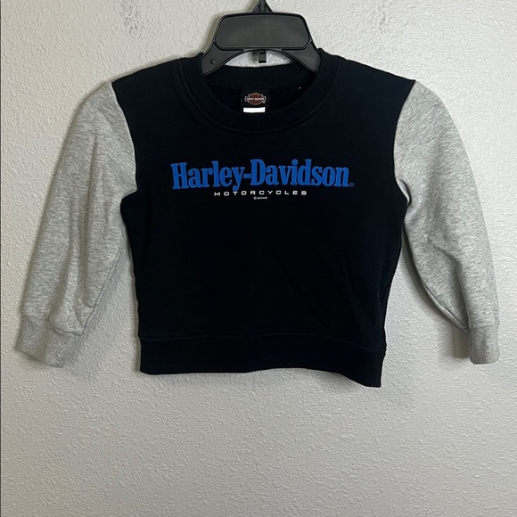 Harley Davidson Logo Youth Sweatshirt Size 6/6X - Picture 3 of 4